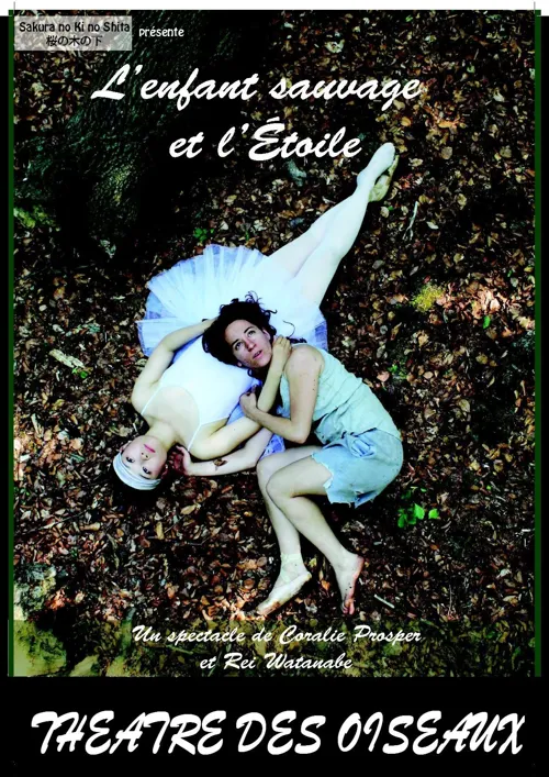 Affiche de L'enfant Sauvage et l'Etoile