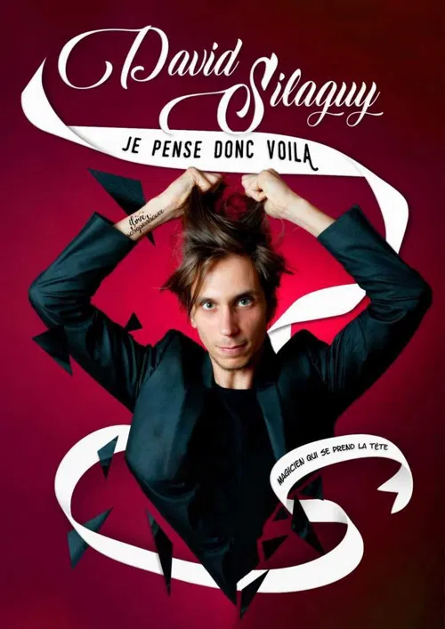 Affiche de David Silaguy dans Je pense donc voilà