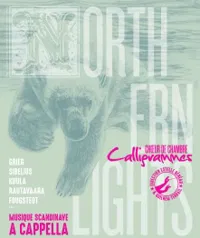 Northern Lights - 