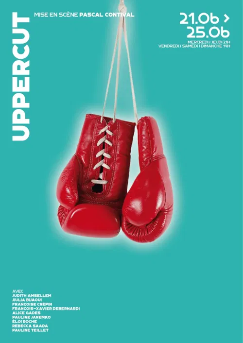 Affiche de Uppercut