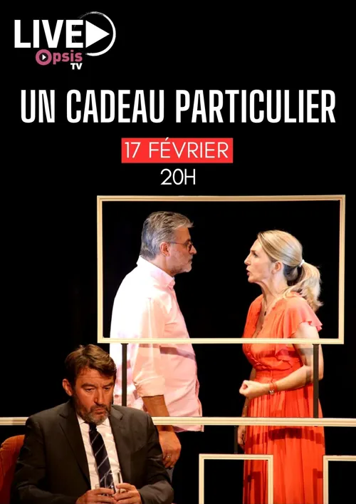 Affiche de Un cadeau particulier en live streaming