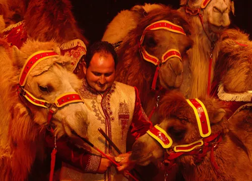 Photo 5 de Cirque Nicolas Zavatta Douchet dans Voyage en orient | Dreux