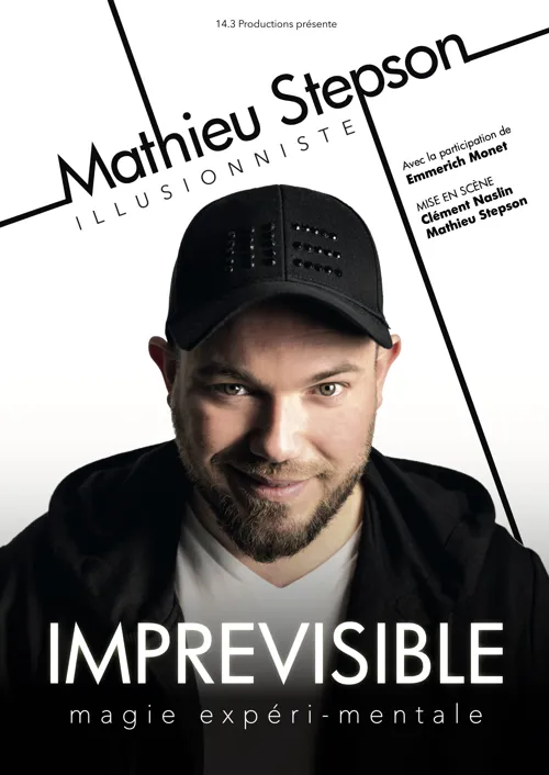 Affiche de Mathieu Stepson dans Imprévisible