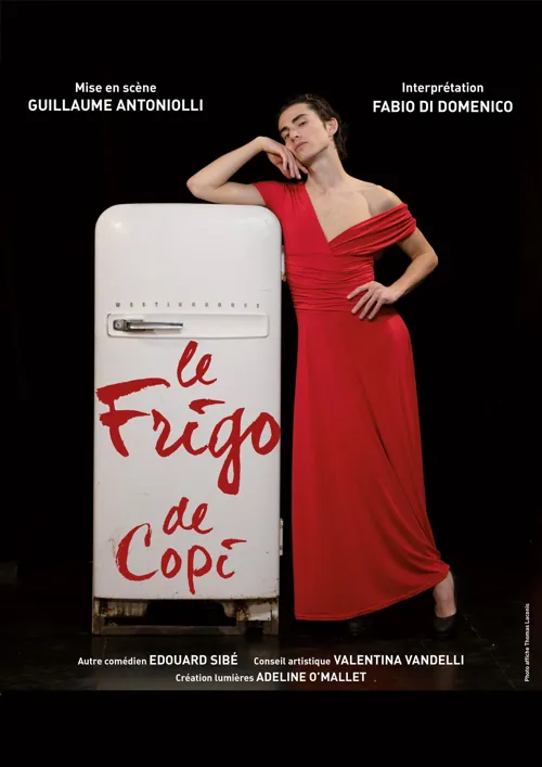 Affiche de Le Frigo