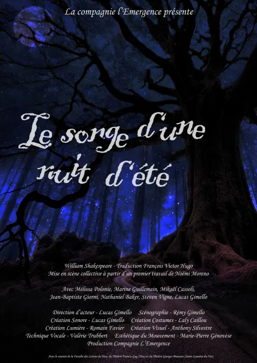 Affiche de Le songe d'une nuit d'été