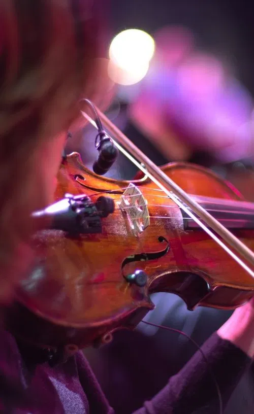 Affiche de Classic Basilique Festival : Voyage à travers les violons | 27 Juillet 2023
