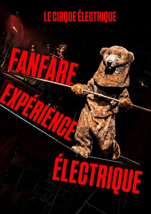 Affiche de Fanfare (expérience) électrique