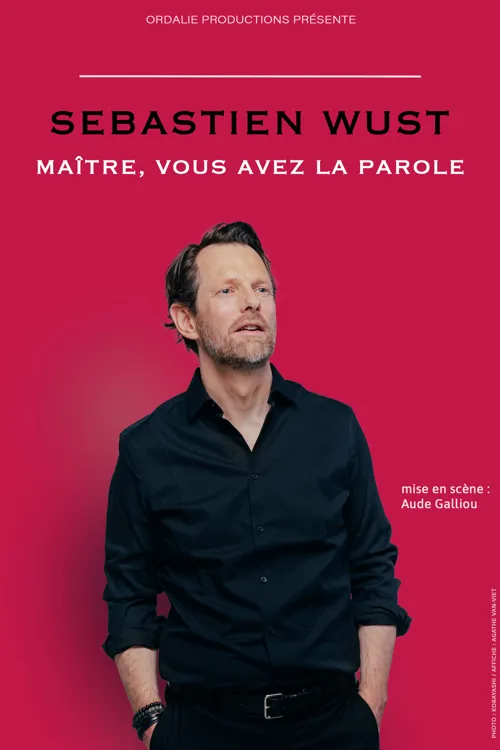 Affiche de Sébastien Wust dans Maître, vous avez la parole
