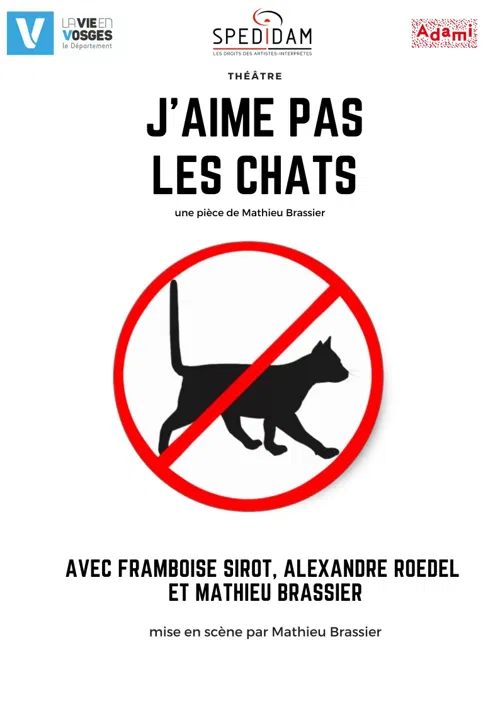 Affiche de J'aime pas les chats