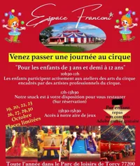 Ateliers cirque et aire de jeux - 