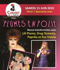 Plumes en folie - 