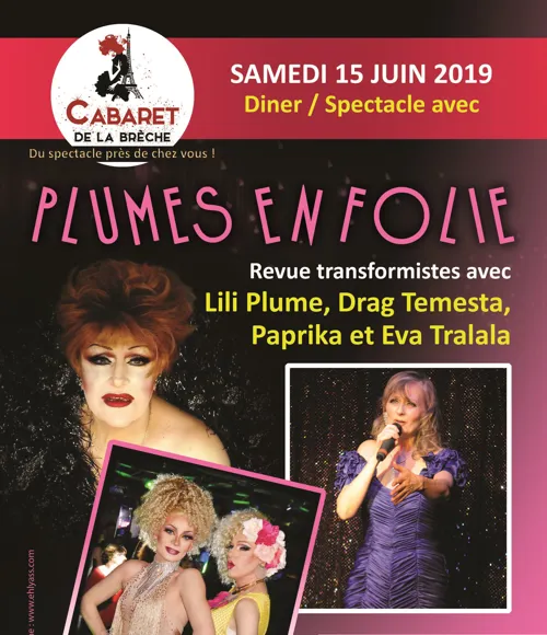 Affiche de Plumes en folie