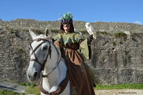 Les Aigles des Remparts
