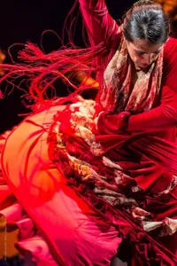 Spectacle flamenco traditionnel - 