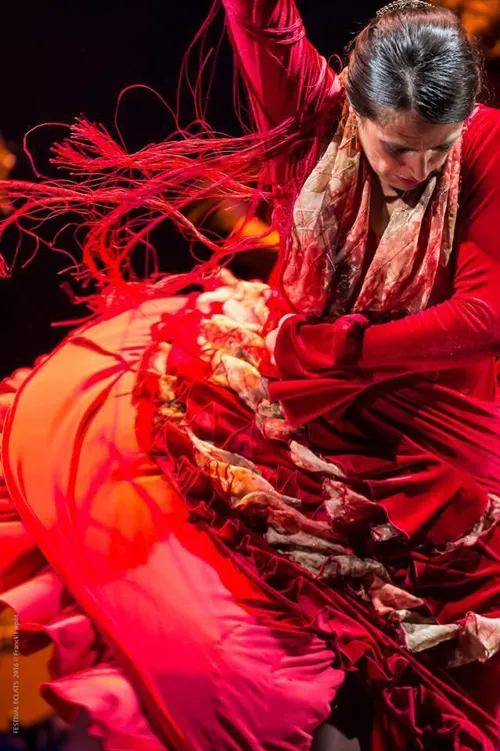 Affiche de Spectacle flamenco traditionnel