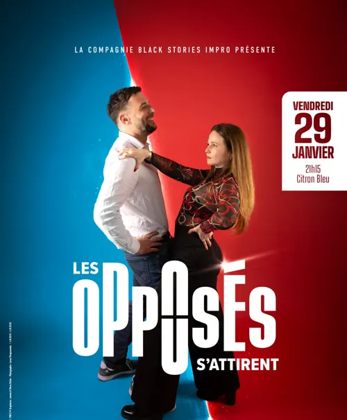 Affiche de Les opposés s'attirent