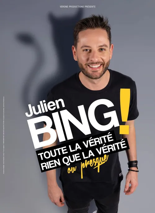 Affiche de Julien Bing dans Toute la vérité, rien que la vérité ou presque