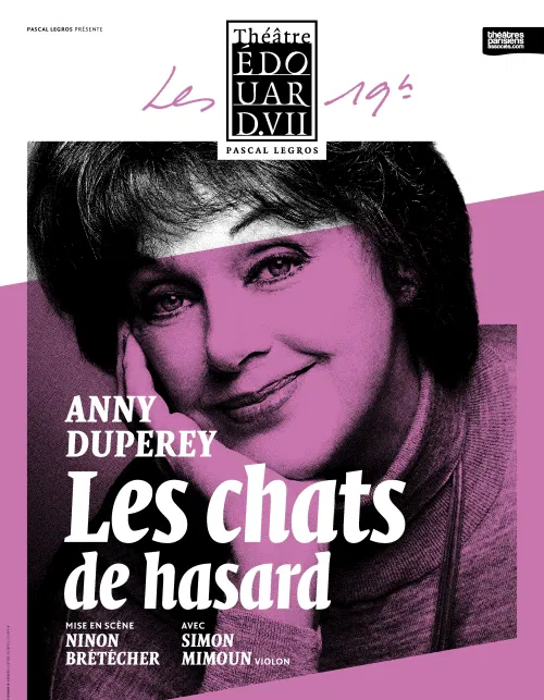 Affiche de Les chats de hasard | avec Anny Duperey