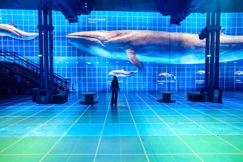 Expérience immersive Planète Océan, Immersion vers les profondeurs