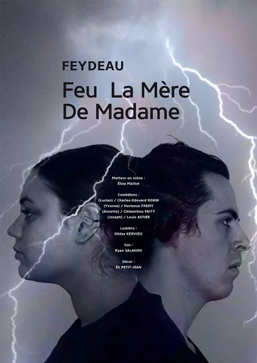 Affiche de Feu La Mère de Madame