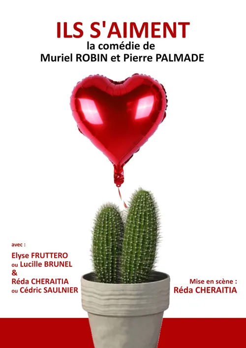 Affiche de Ils s'aiment