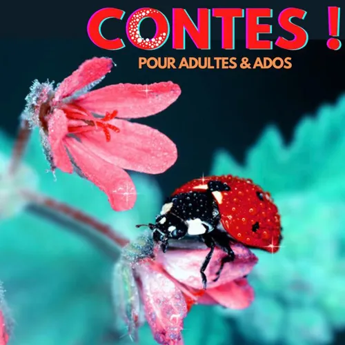 Affiche de Contes !