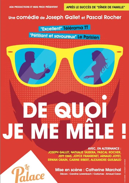 Affiche de De quoi je me mêle !