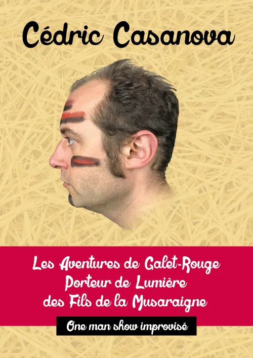 Affiche de Les aventures de Galet-Rouge, Porteur de lumière des fils de la Musaraigne