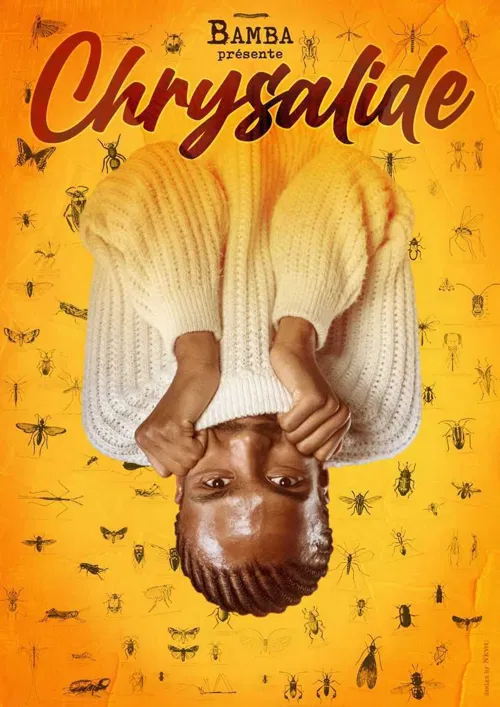 Affiche de Bamba dans Chrysalide