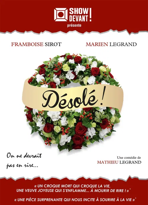 Affiche de Désolé !