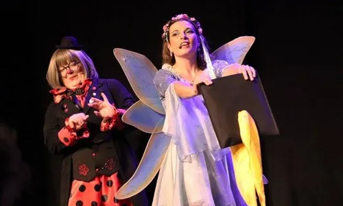 Photo 3 de La fée Liloo et la coccinelle