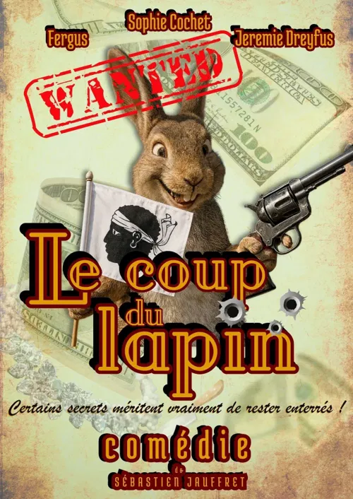 Affiche de Le coup du lapin