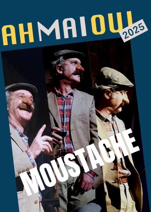 Affiche de Moustache