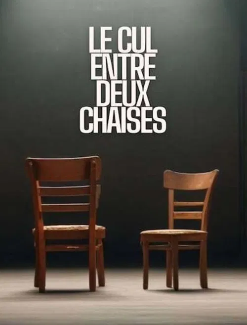 Affiche de Le cul entre deux chaises
