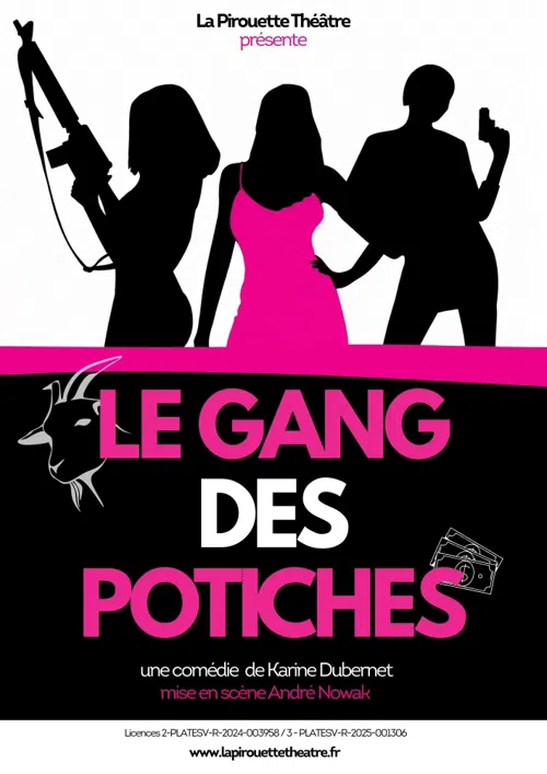 Affiche de Le gang des potiches
