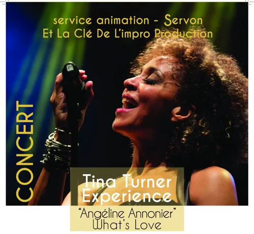 Affiche de Soirée dîner-concert exceptionnelle en hommage à Tina Turner