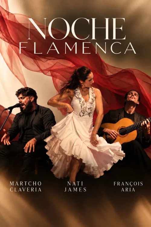 Affiche de Noche Flamenca