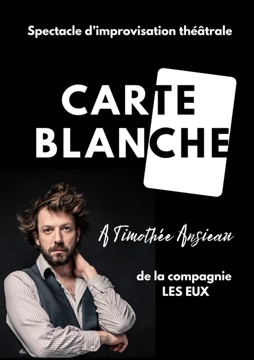 Affiche de Carte blanche à Timothée Ansieau