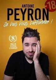 Affiche de Antoine Peyron dans Je vais vous cartonner
