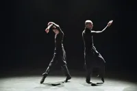 Flexible Silence - 
