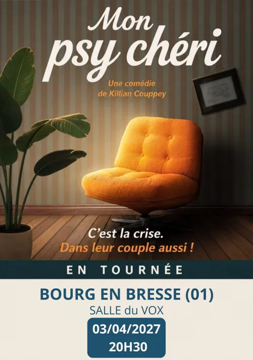 Affiche de Mon Psy Chéri
