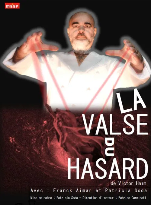 Affiche de La valse du hasard