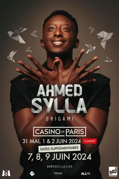Affiche de Ahmed Sylla dans Origami
