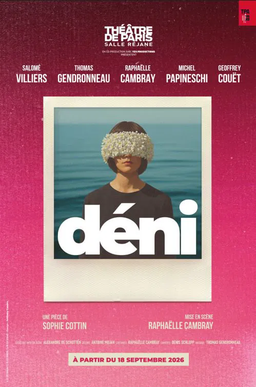 Affiche de Déni