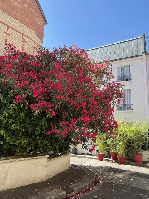 Photo 5 de Visite guidée : Le charme discret de la Butte aux Cailles | par Guillaume Le Roux