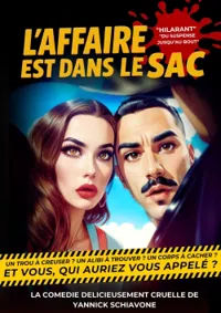 Affiche de L'Affaire est dans le sac