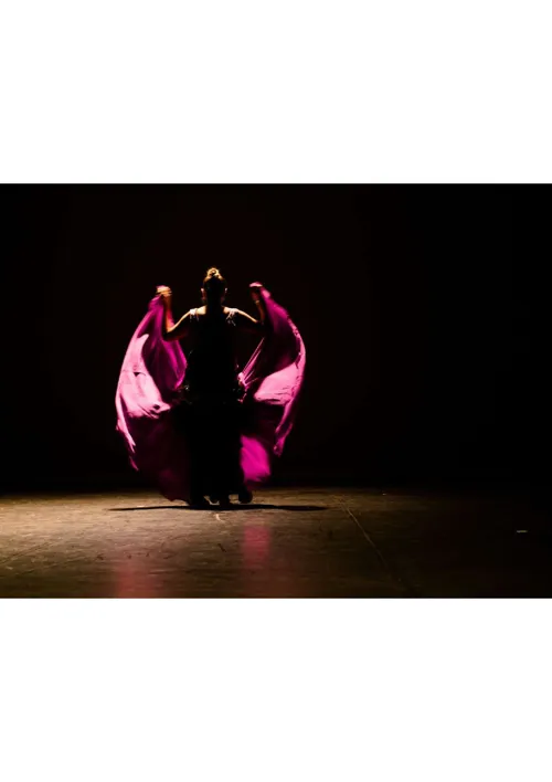 Photo 1 de Lydie Tison dans Comme un oiseau