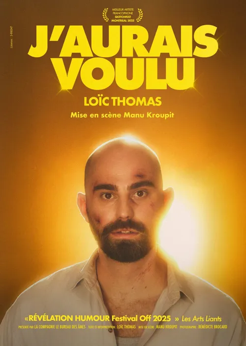 Affiche de J'aurais voulu