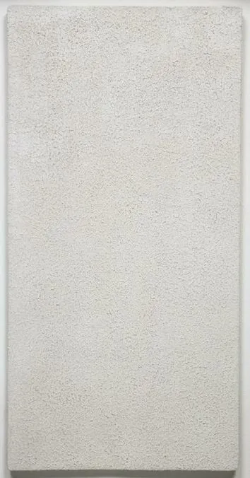 Affiche de Blanc ?