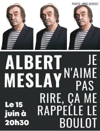 Albert Meslay dans Je n'aime pas rire, ça me rappelle le boulot - 